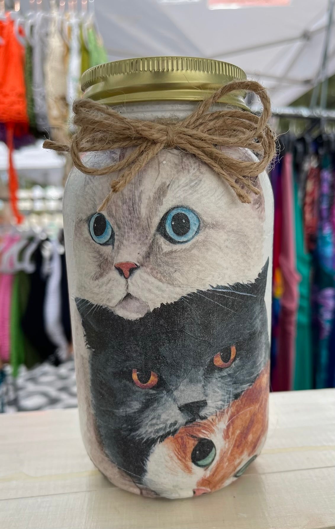 Cats, Cats, Cats Mason Jar Tissue Holder